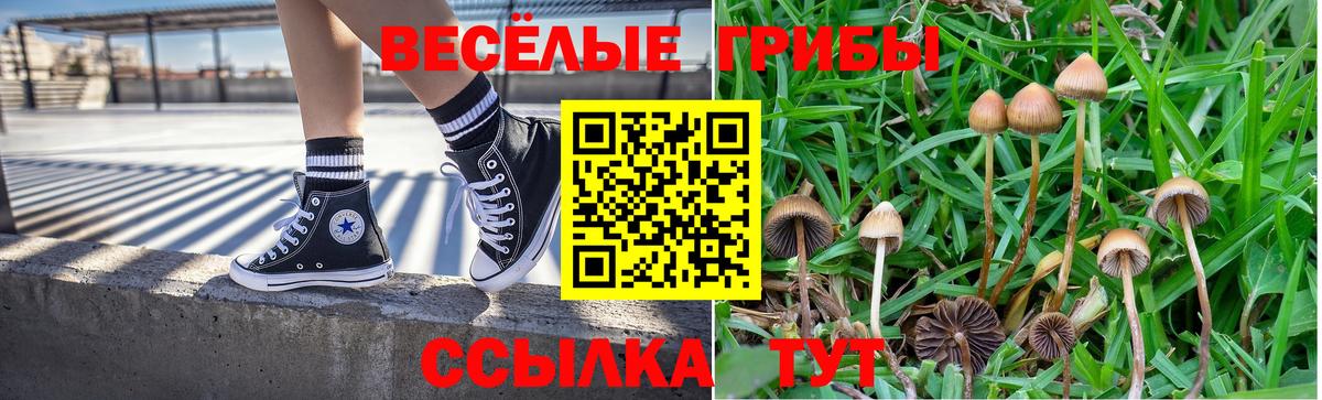 Галлюциногенные грибы Magic Shrooms Видное