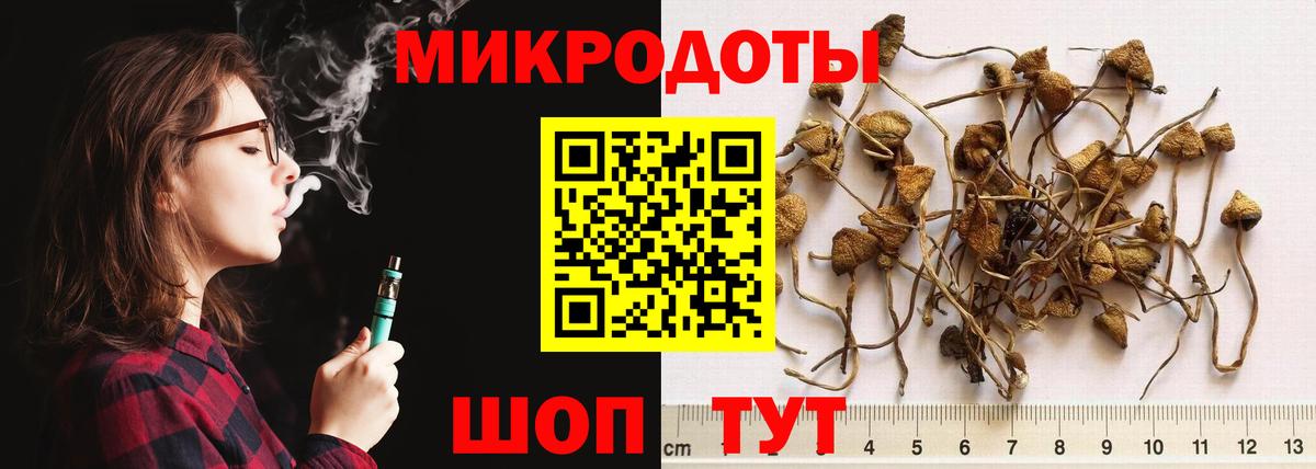 Видное  Псилоцибиновые грибы мицелий  Вход с VPN 